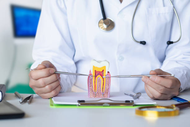 Best Cracked Tooth Emergency Dentist  in Frewsburg, NY